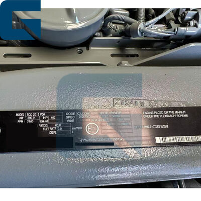 TCD2015V06 TCD2015 V06 Machine Diesel Complete Engine Assembly